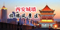操美女大骚逼中国陕西-西安城墙旅游风景区